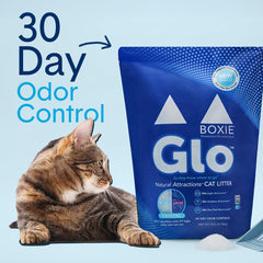 Boxiecat Glo UV light attractant guides cats to the litter box