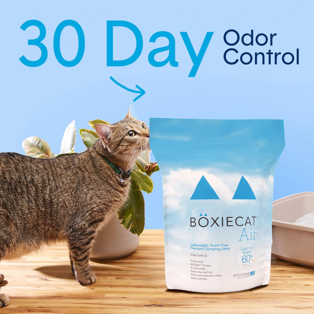 Boxiecat lightweight plant-based litter for easy lifting and pouring.