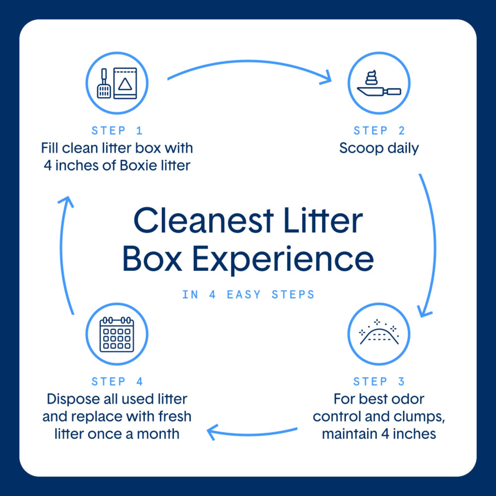 Boxiecat long-lasting litter lasts about a month per cat