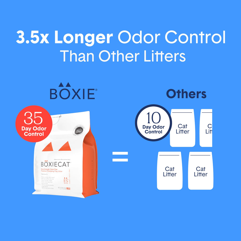 Boxiecat litter compatible with multiple box types for multi-cat homes.