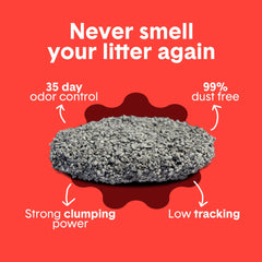 Boxiecat probiotic blend illustrates ongoing odor reduction benefits.