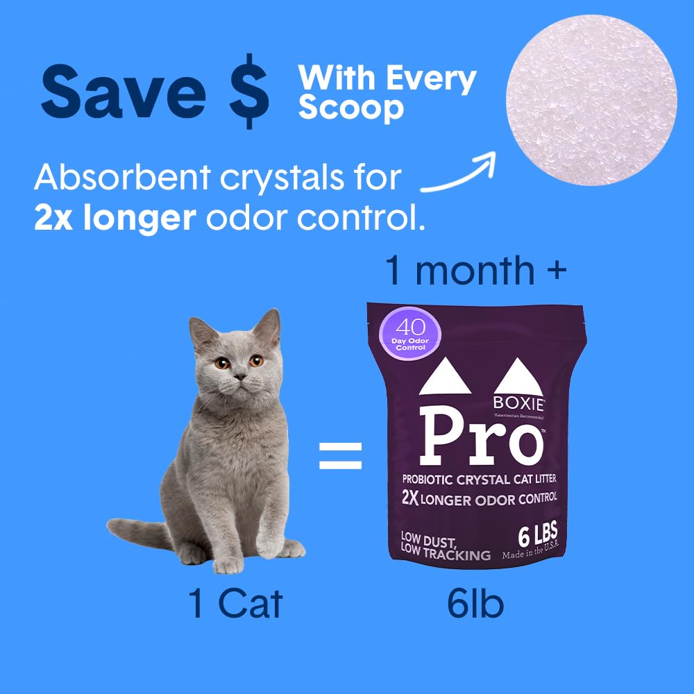 Boxiecat multi-cat crystal litter designed to share space with less odor.