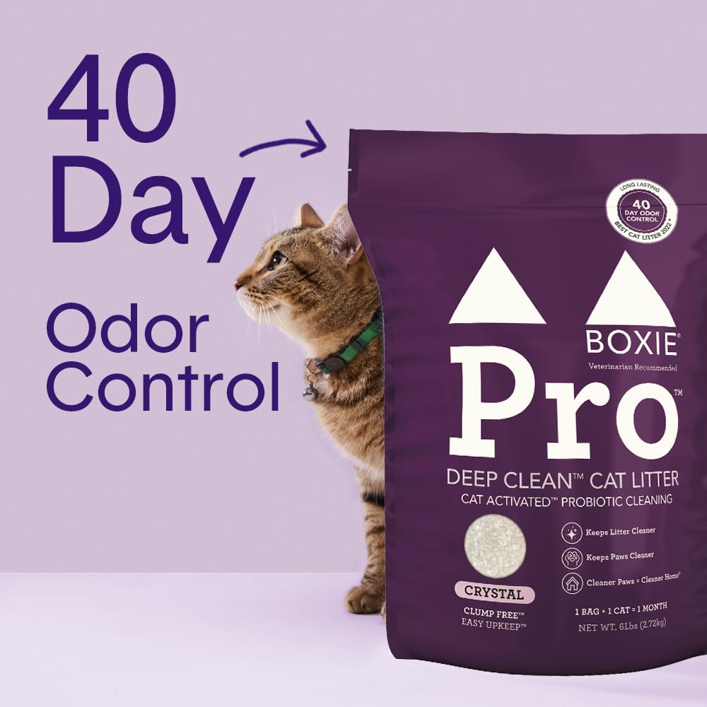 Self-cleaning probiotic technology keeps the litter box fresh between scoopings.
