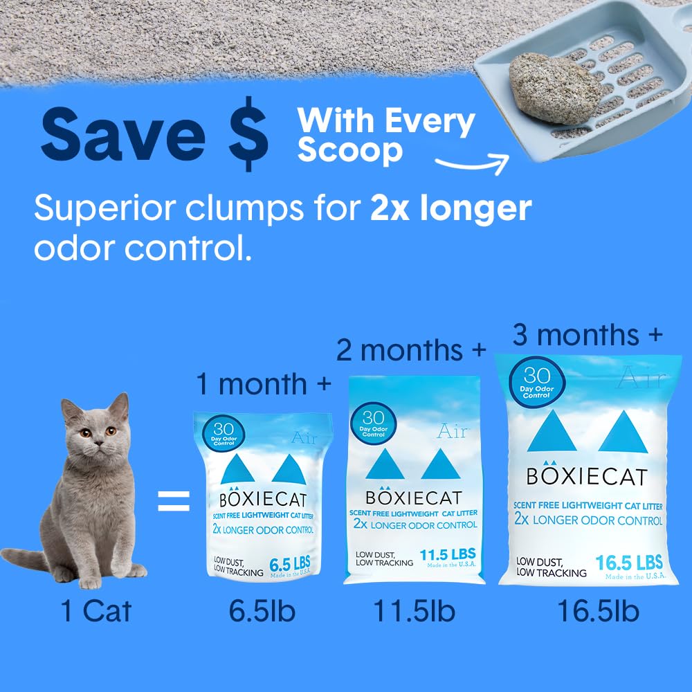 Boxiecat suitable for single or multi-cat homes