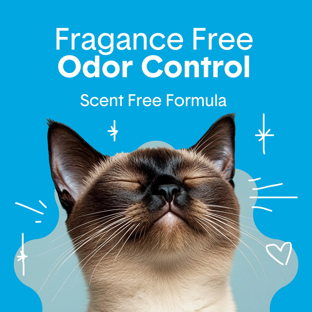 Boxiecat top-surface clumps for easy scooping and cleaning.