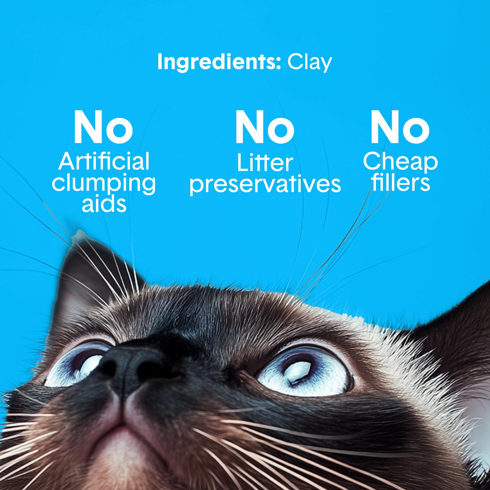 Boxiecat creates top-layer clumps that are easy to scoop and leave a dry box.