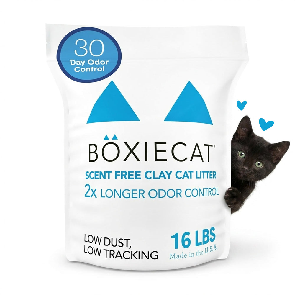 Boxiecat Boxie Unscented Litter packaging shown for easy, mess-free setup.