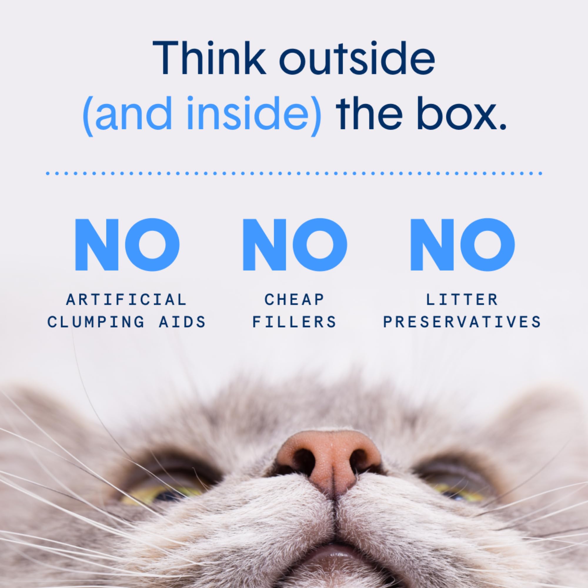 Boxiecat veterinarian-approved litter with fragrance-free formula.