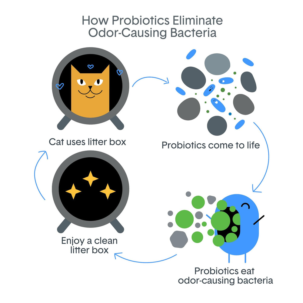 BoxiePro Bot fast-forming clumps maintain box cleanliness through cycles.