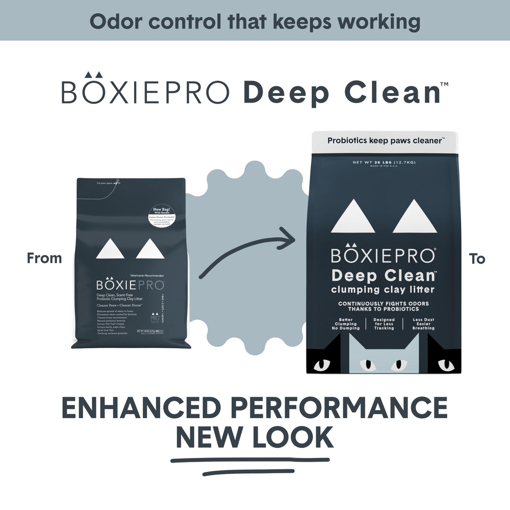 Dust-free BoxiePro litter forming top clumps for easy scooping