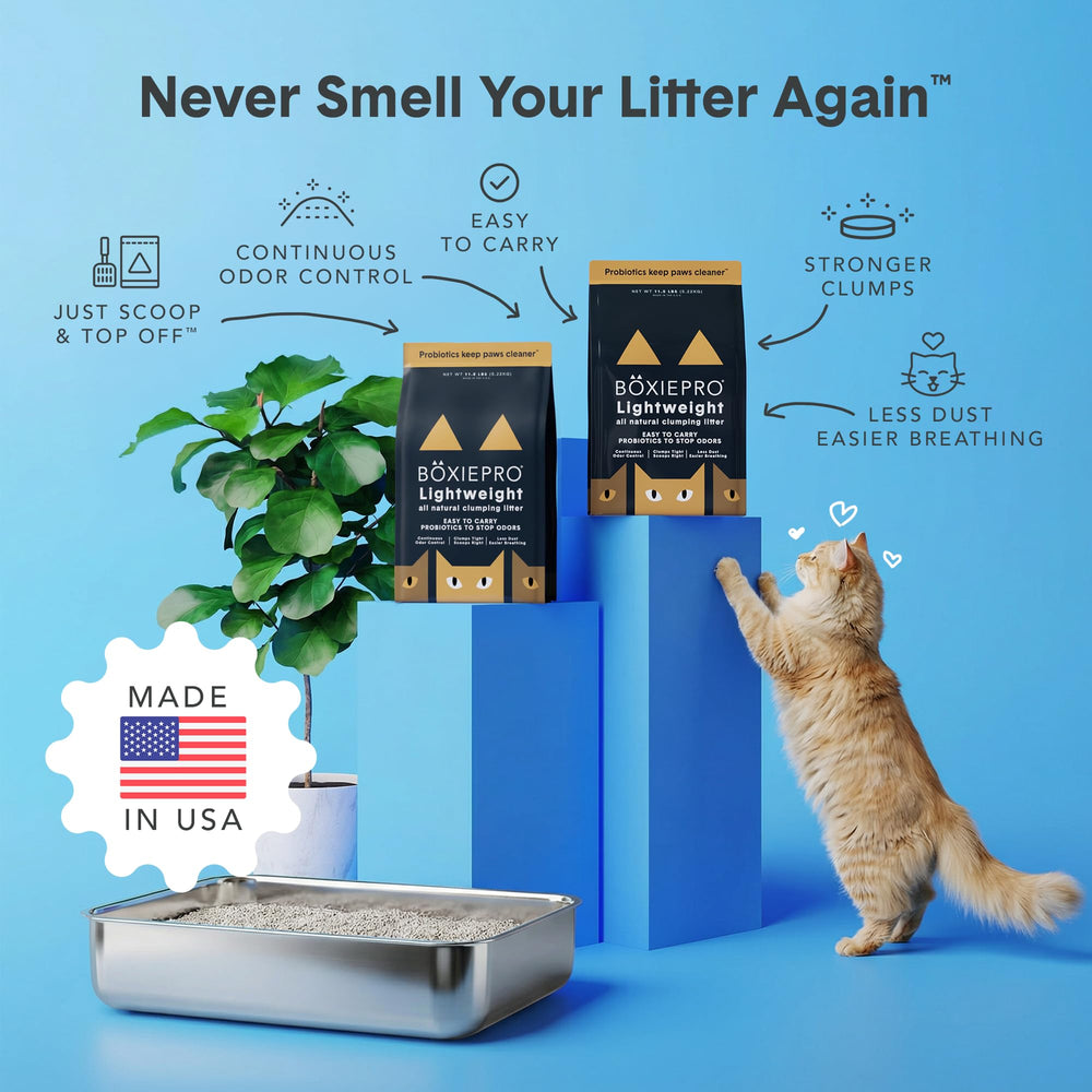 BoxiePro 99.9% dust-free litter for cleaner air and less tracking.