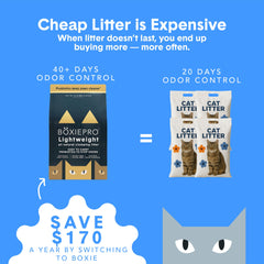 BoxiePro fast-clumping litter staying on top for easy scooping.