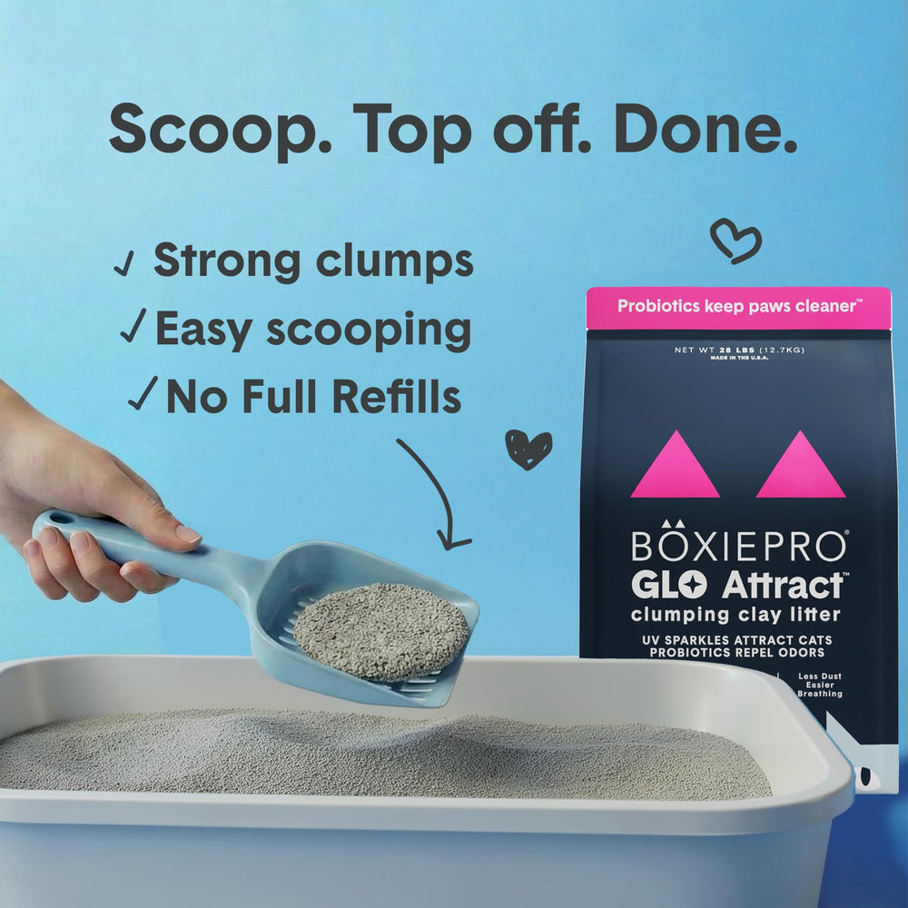 BoxiePro Glo hypoallergenic, 99.9% dust-free formula for cleaner air