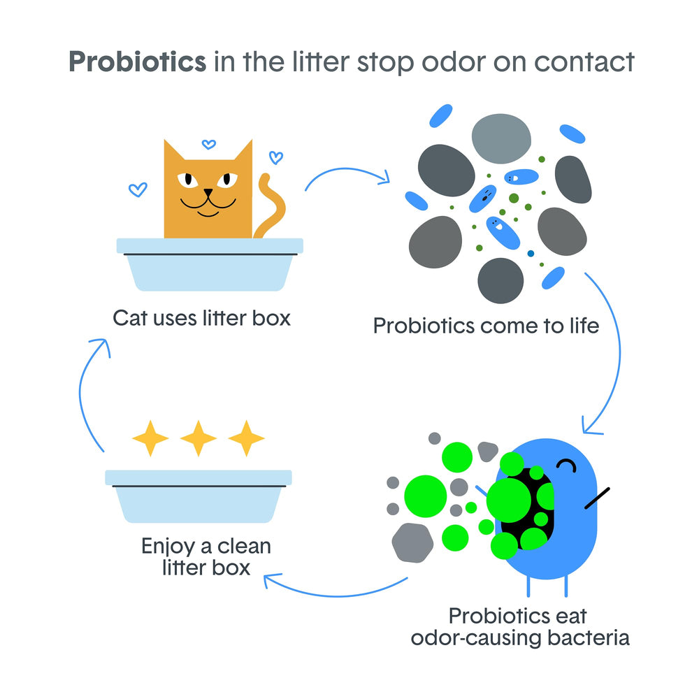BoxiePro multi-cat litter suited for busy households.