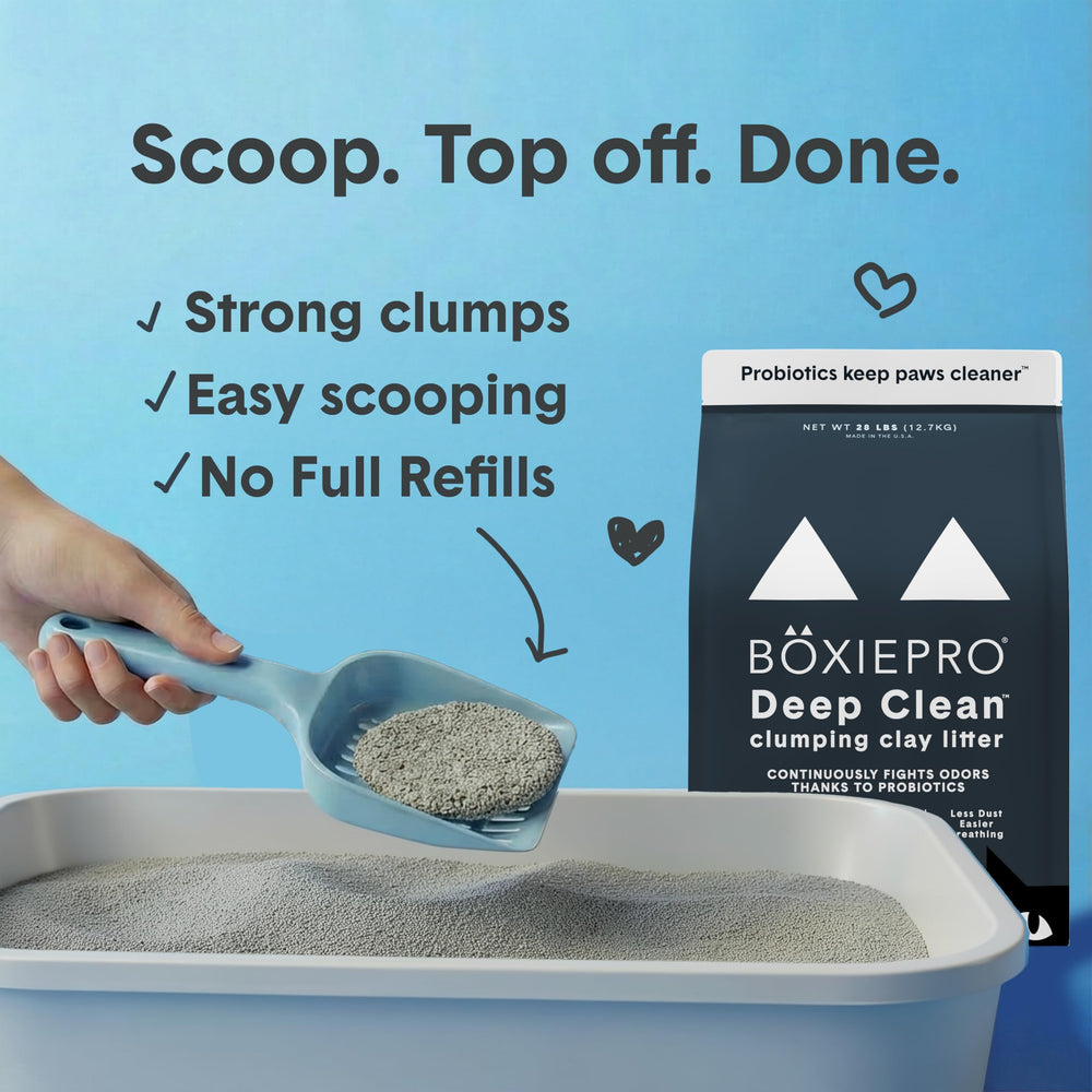 BoxieProbiotic unscented litter stays fragrance-free for sensitive homes