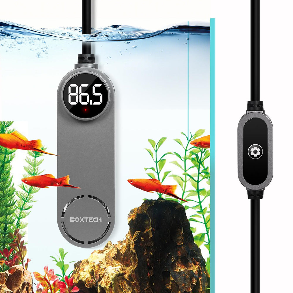 Boxtech 50W mini aquarium heater, front view showing compact design for small tanks.