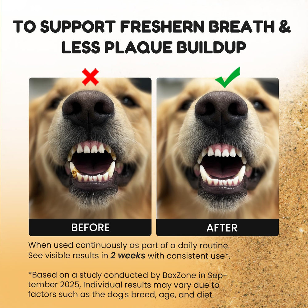 BoxZone enzyme-zinc formula targets plaque and tartar buildup for oral care.