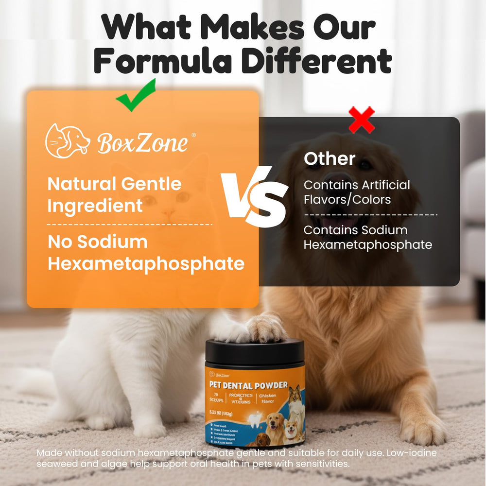 BoxZone mint-green tea extracts provide long-lasting breath freshness.