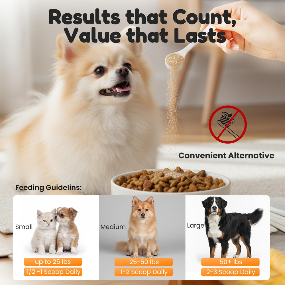 BoxZone simple daily-use powder mixes into meals for easy dental care.