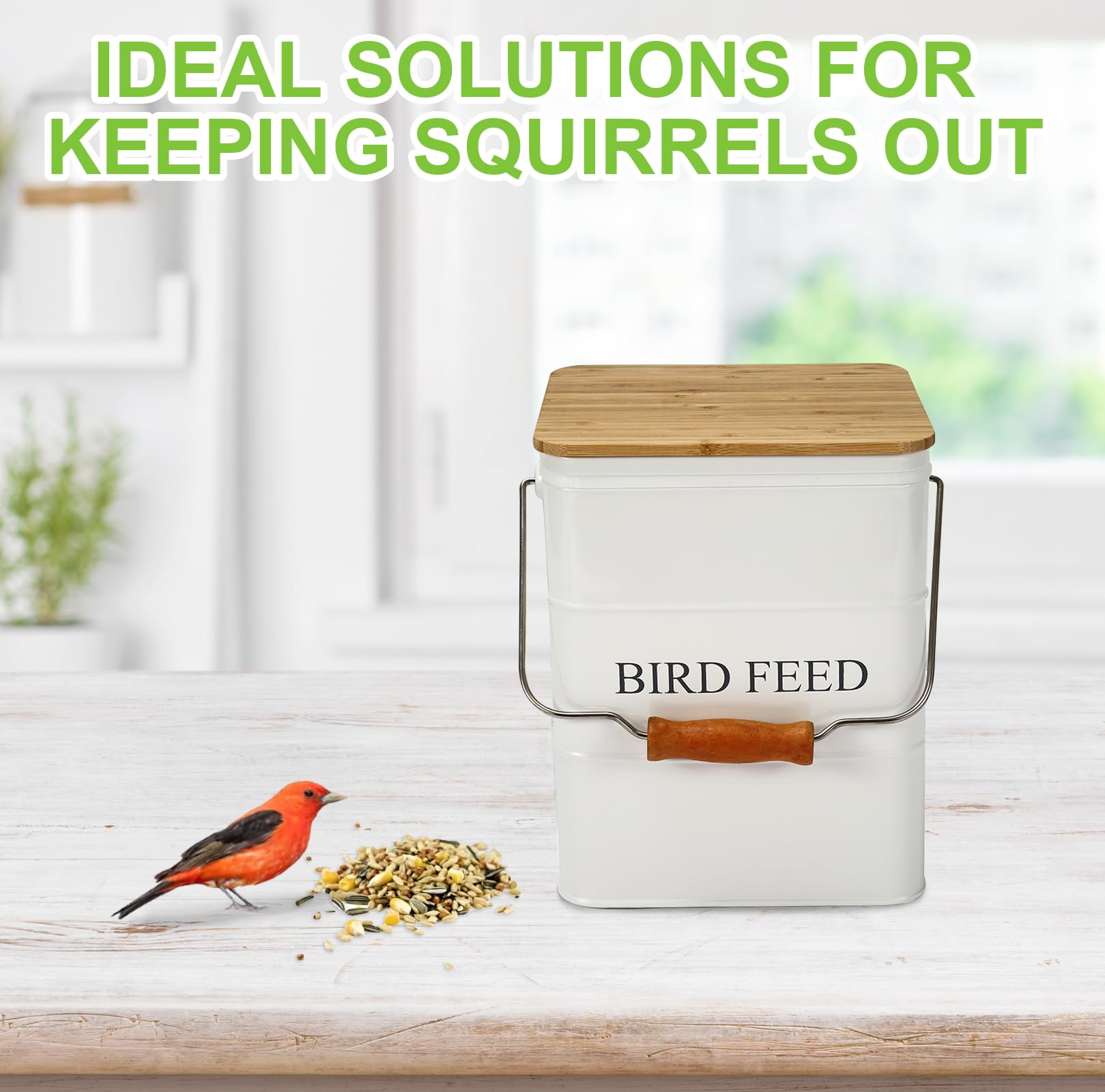 Brabtod scoop included for precise portions of seeds and treats