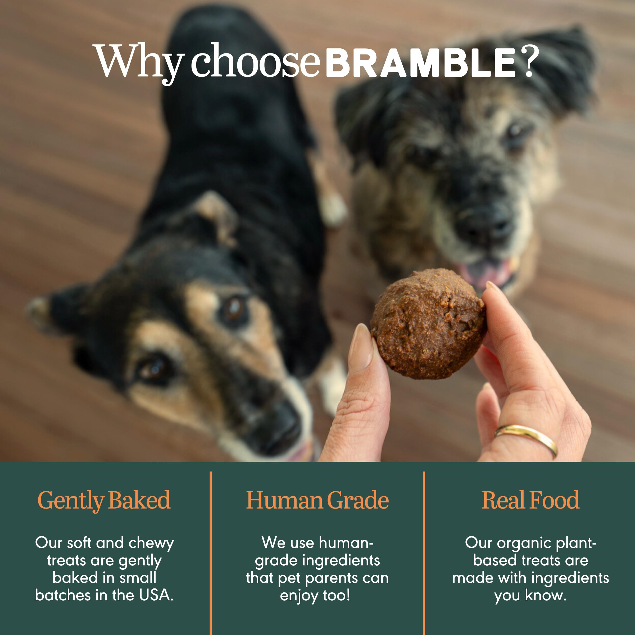 BRAMBLE soft-baked bites support easy daily portions and freshness.
