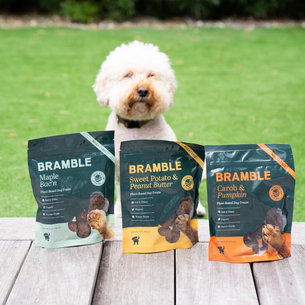 BRAMBLE organic, plant-based ingredients offer a wholesome snacking option.