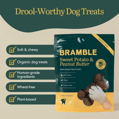 BRAMBLE soft chewy dog cookies shown in close-up texture.