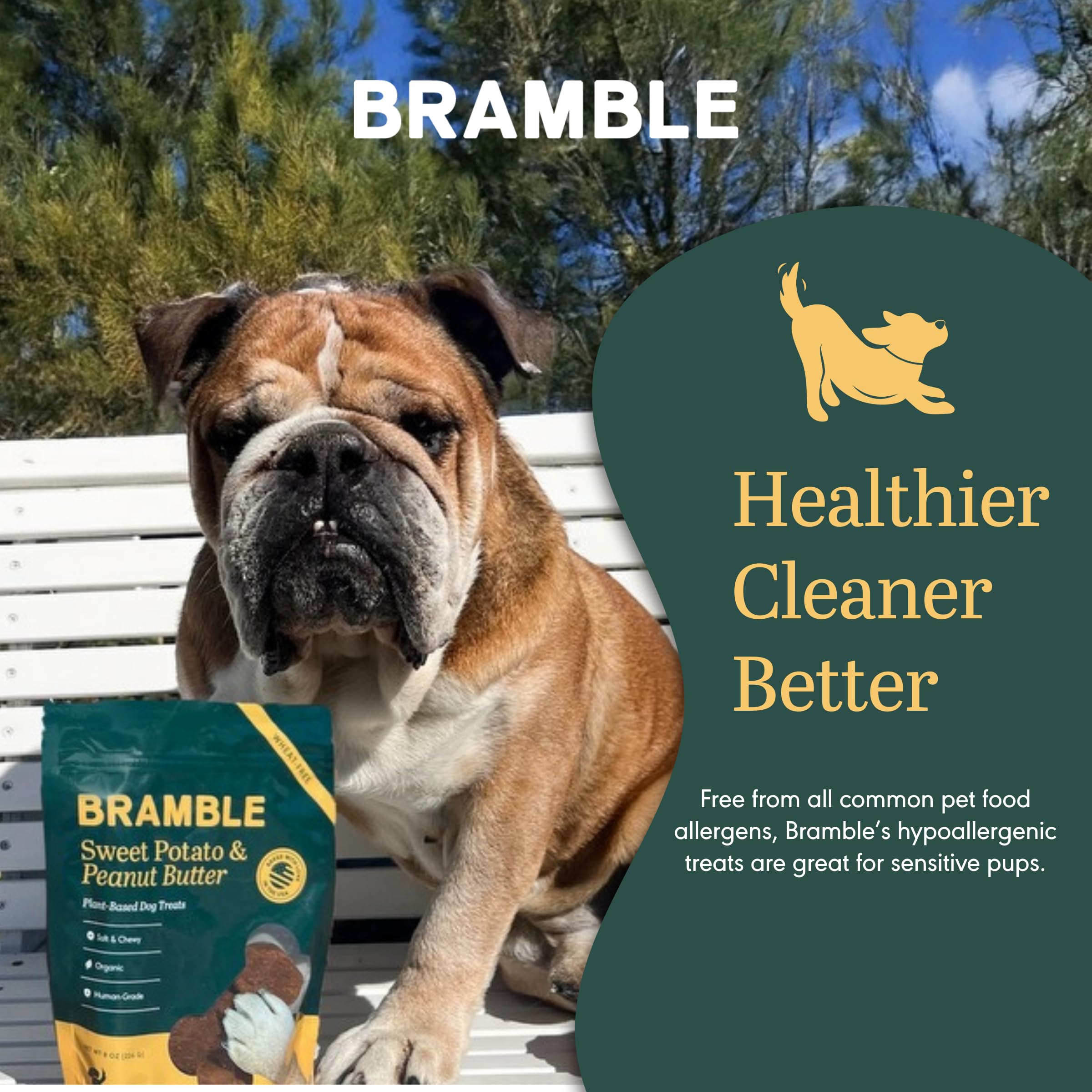 BRAMBLE USA-baked dog treats highlighting domestic production.