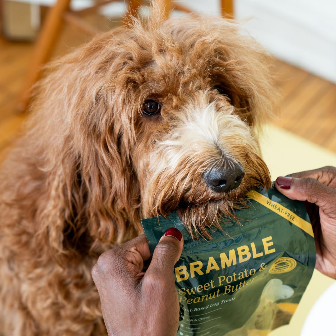 BRAMBLE vegan dog treats with simple ingredients displayed.