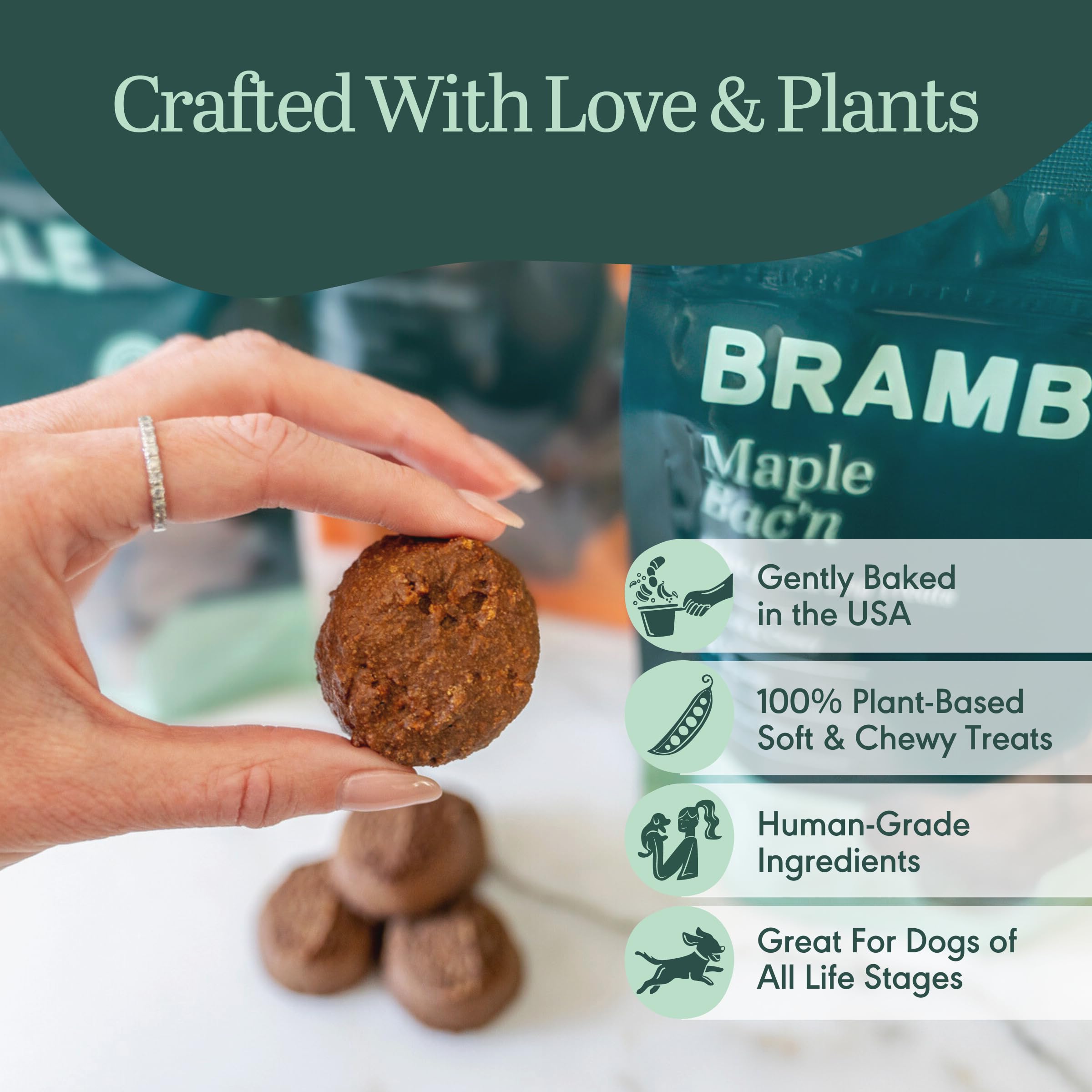 BRAMBLE vegan dog treats proudly baked in the USA.
