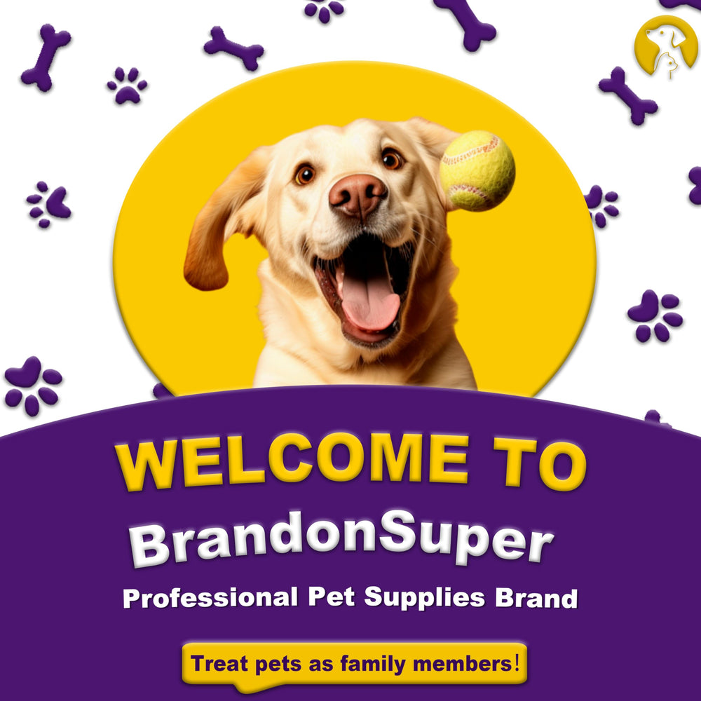 BrandonSuper Dog Diapers all-around coverage supports daily activities and travel.