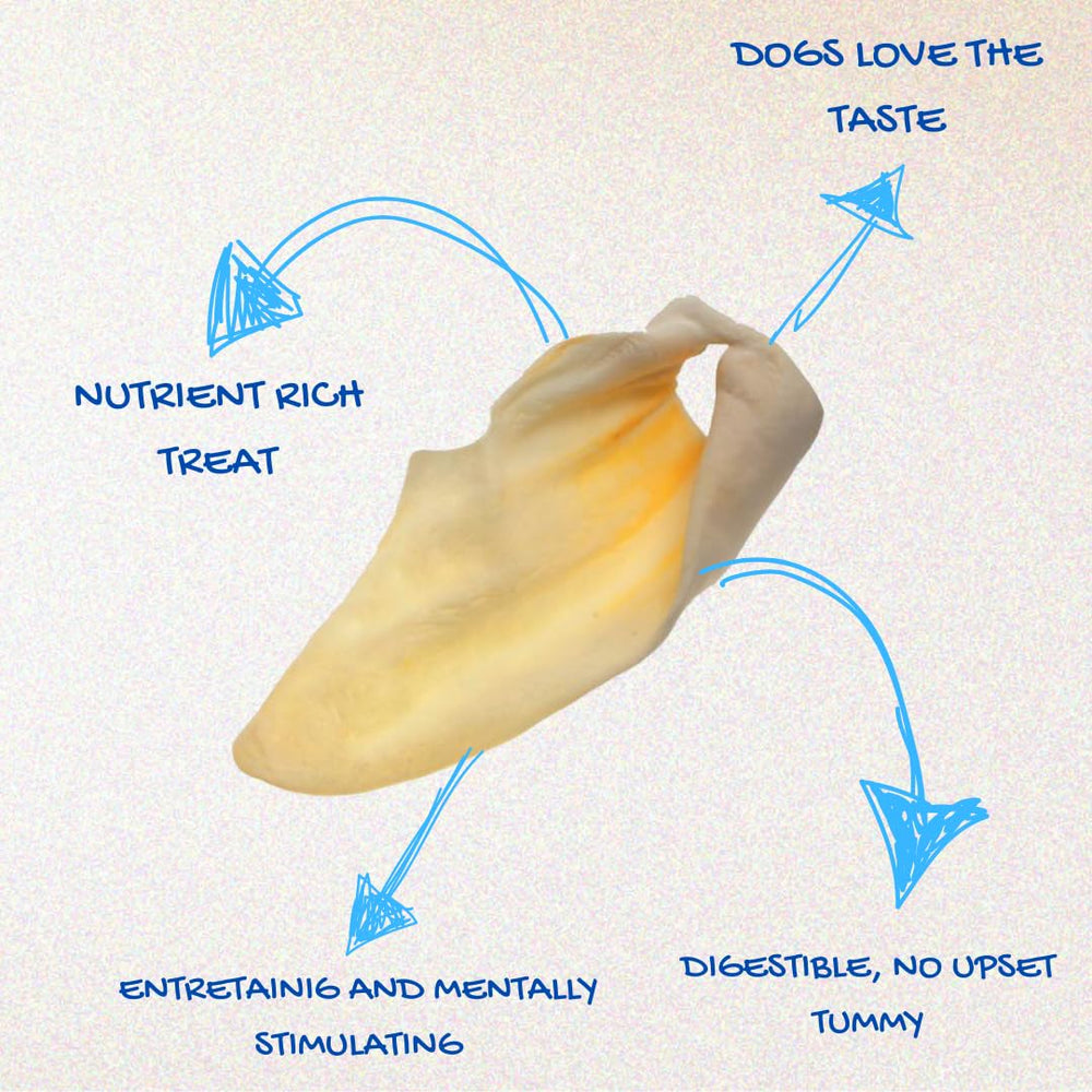 Brazilian Pet cow ears closeup reveals natural texture for chewing.