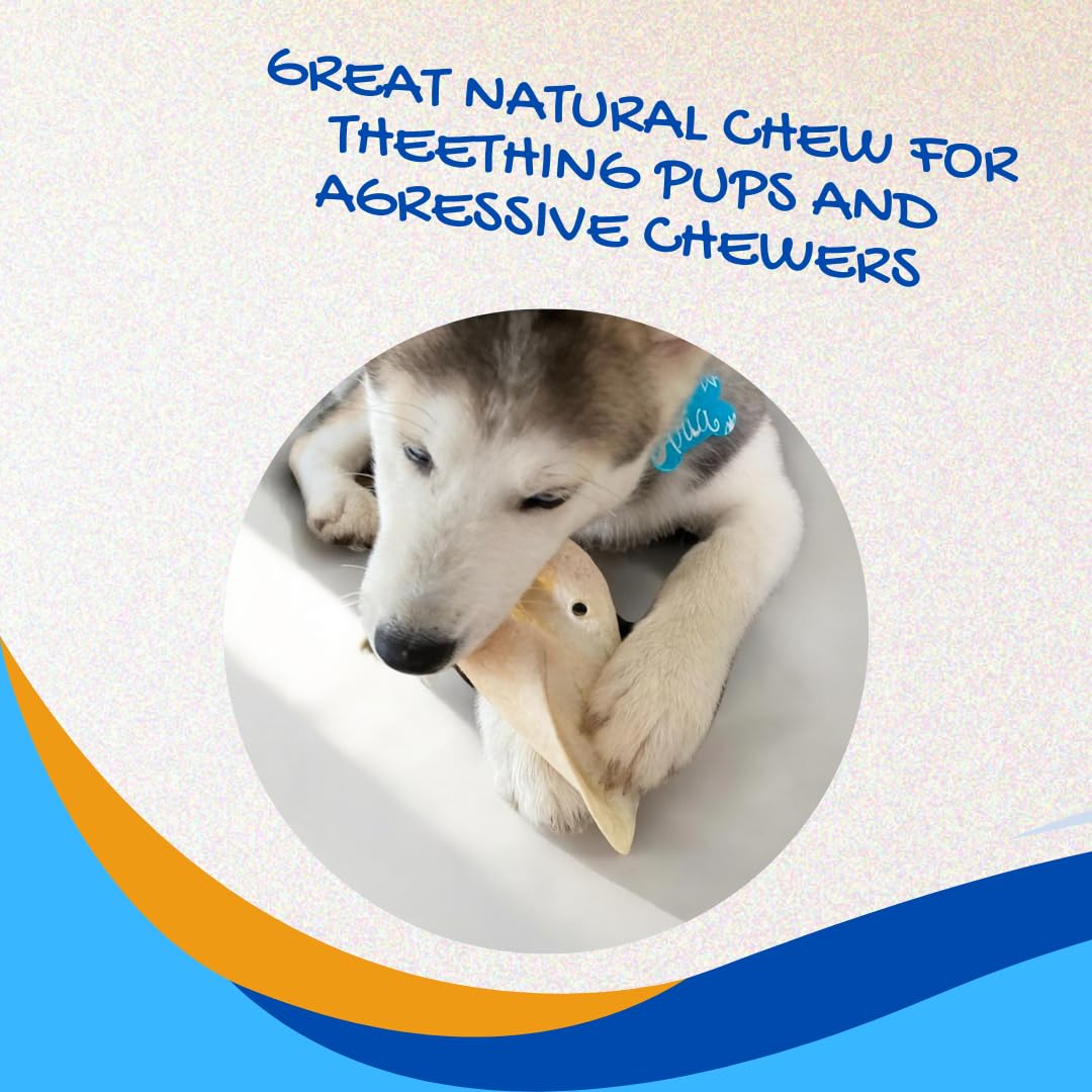 Brazilian Pet natural dog chews, ideal for daily use.