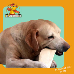 Brazilian Pet Premium dog chew in action demonstrates engaging activity for behavioral management.