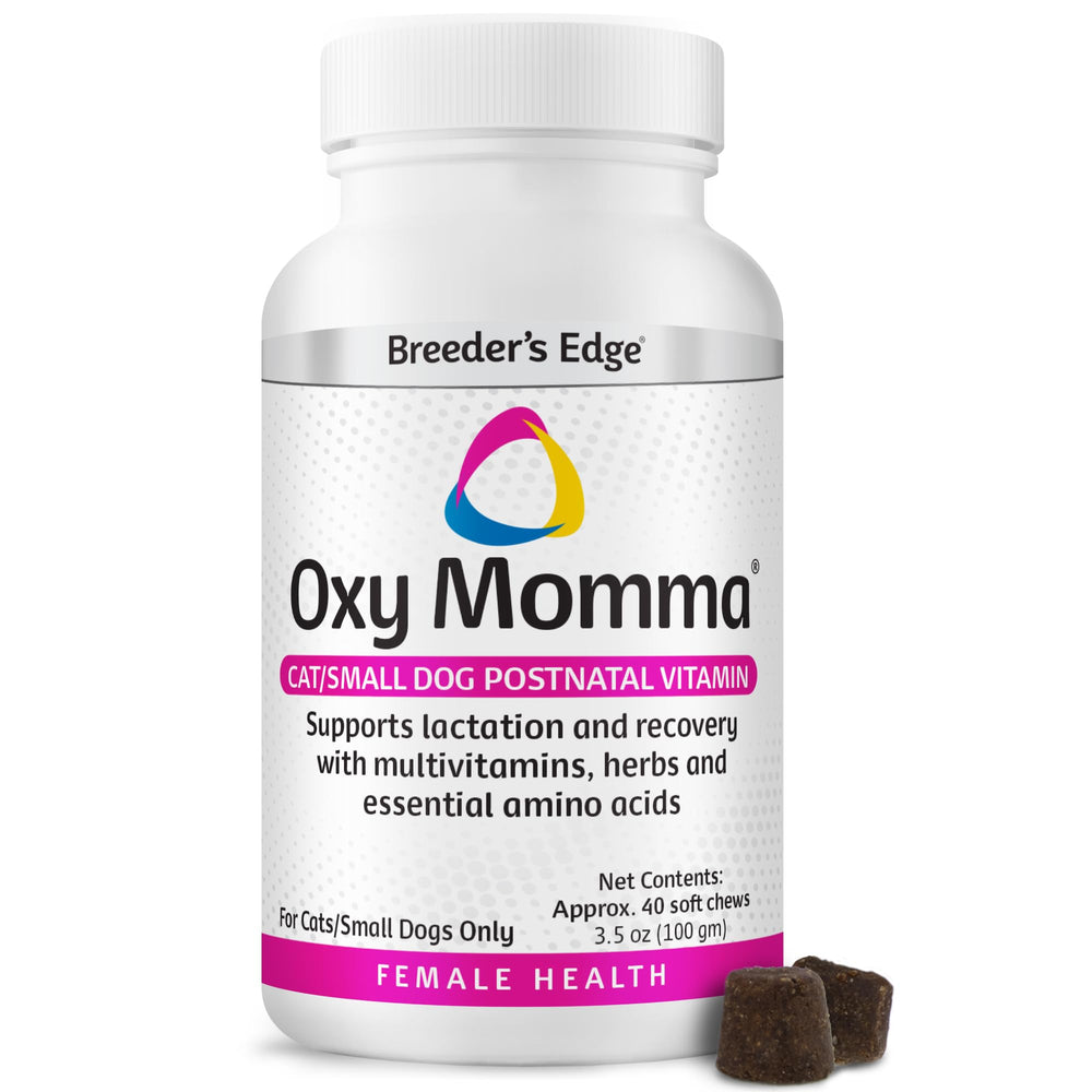 Breeder's Edge Oxy Momma Soft Chews bottle front for convenient postnatal care.