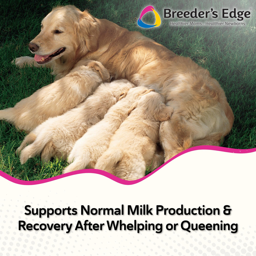 Breeder's Edge Oxy Momma Soft Chews packaging label highlights postnatal wellness.