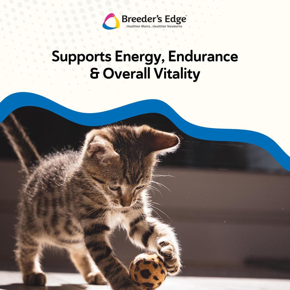 Breeder's Edge Oxy Stud dosage information on box helps you measure servings