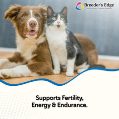 Breeder's Edge Oxy Stud soft chews pack shows palatable form for dogs and cats