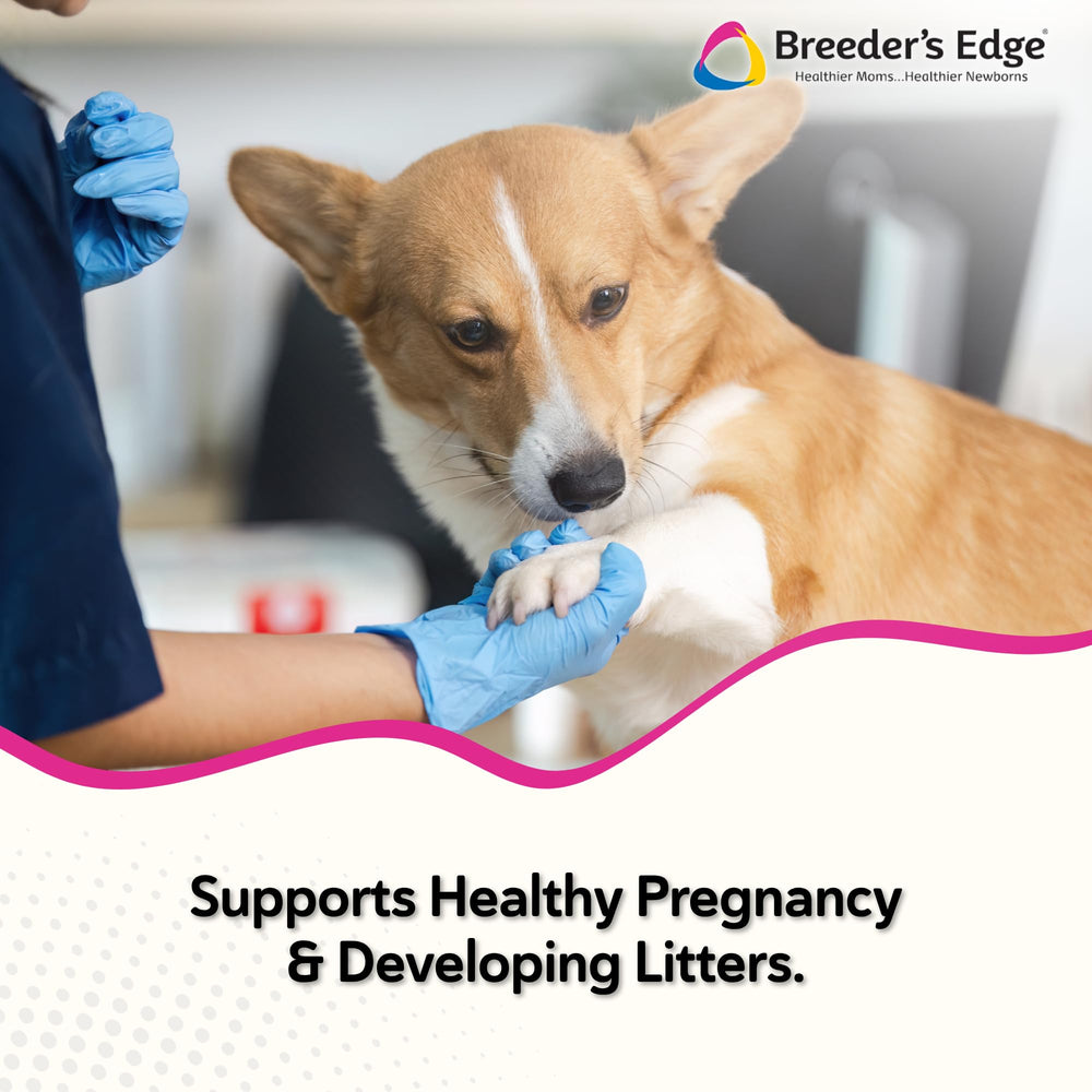 Breeder's Edge Problem Female label close-up shows natural herbal blend for pets.
