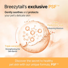 Kitten bath with Breezytail PetO’Cera – gentle and tear-free