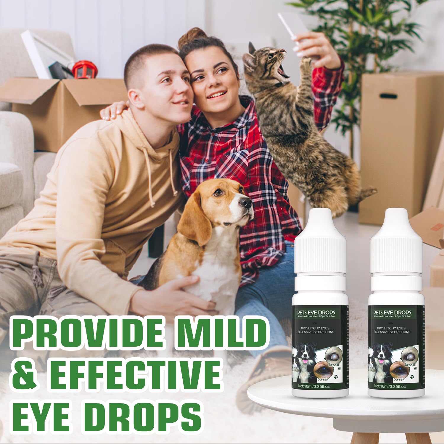 Brennenstuhl Cataract Drops used at home by a dog owner for eye care.