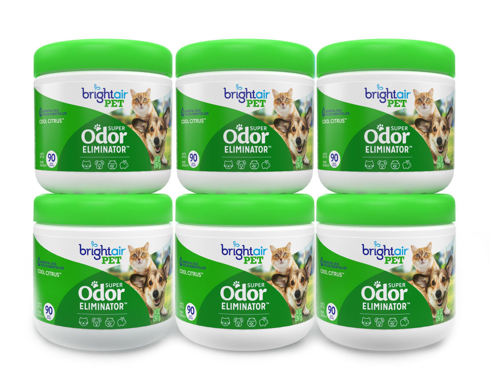 Bright Air 14 oz odor eliminator jar ready for long-lasting freshness in medium spaces.