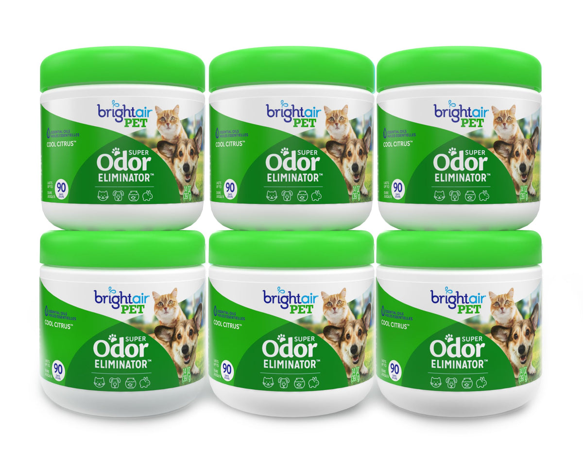Bright Air 14 oz odor eliminator jar ready for long-lasting freshness in medium spaces.