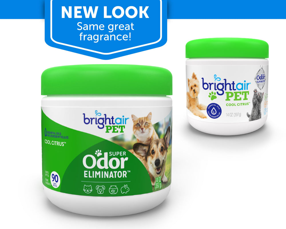 Bright Air cool citrus fragrance label highlights refreshing scent in any room.