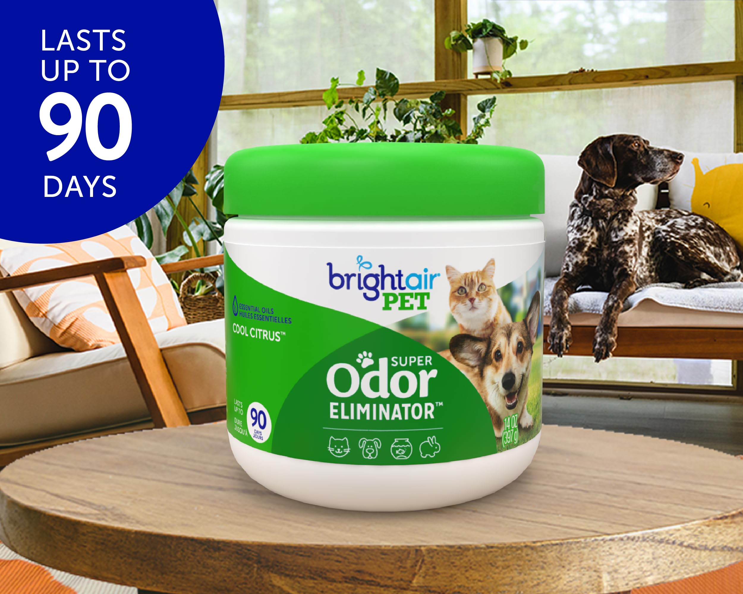 Bright Air natural essential oils gel infusion for a clean, plant-based aroma.