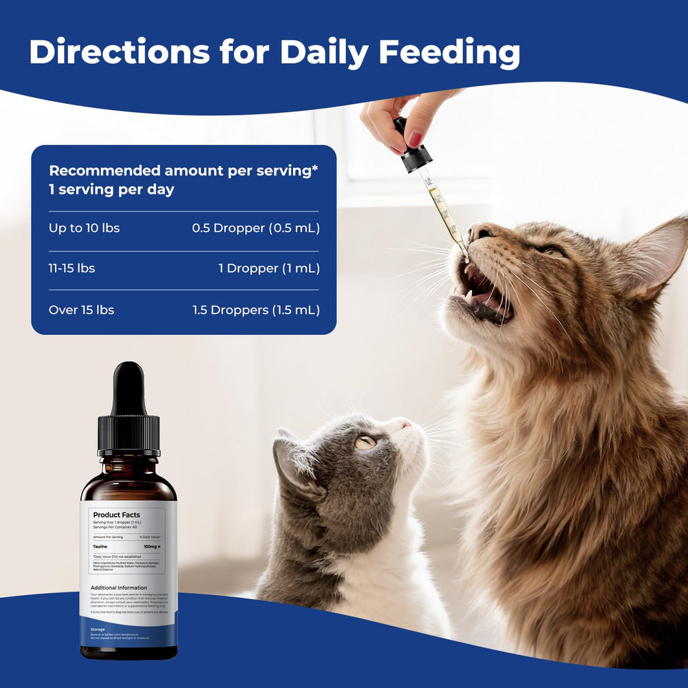 BrightBarki cat enjoying a meal with taurine drops.