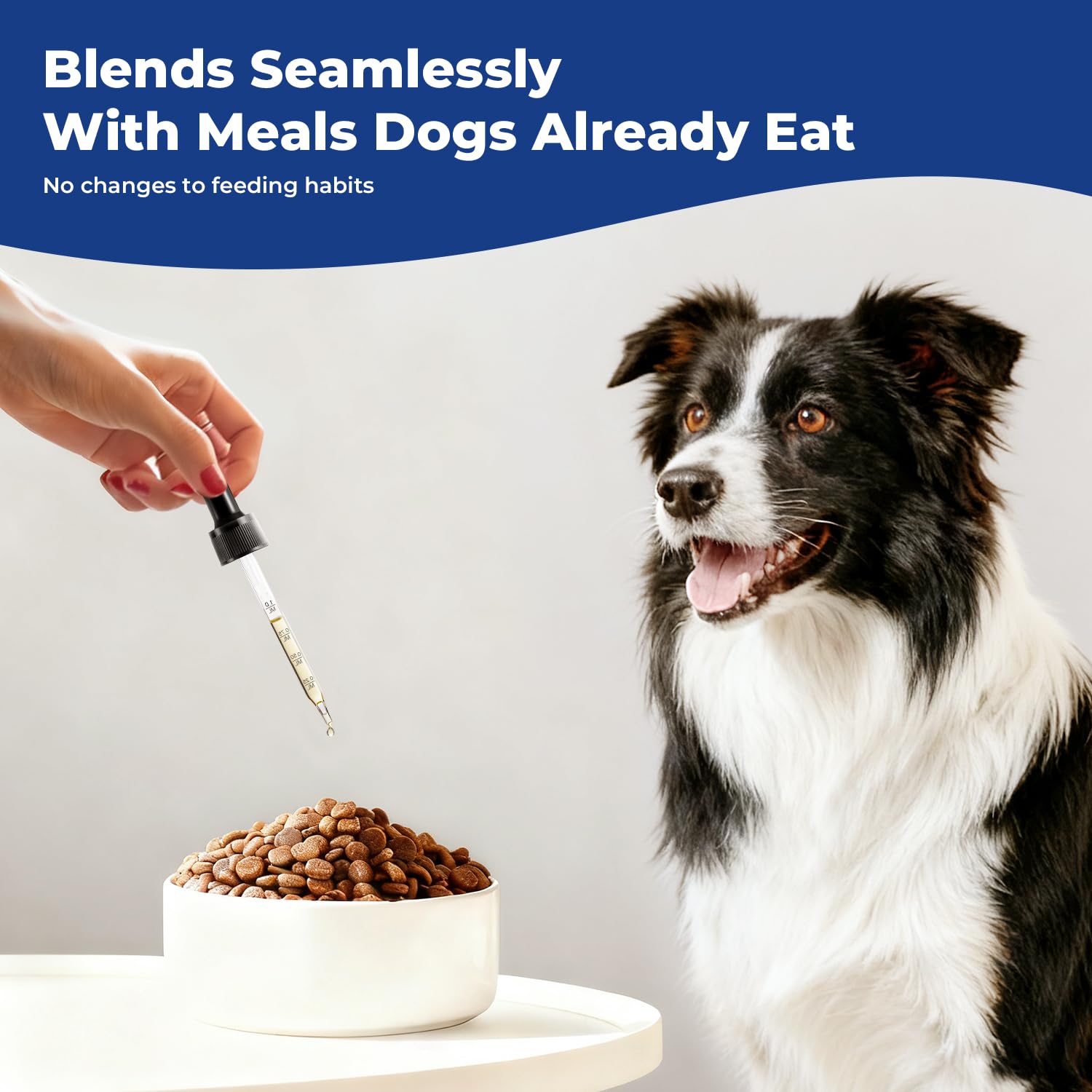 BrightBarki dog active energy, supports healthy activity and mobility.