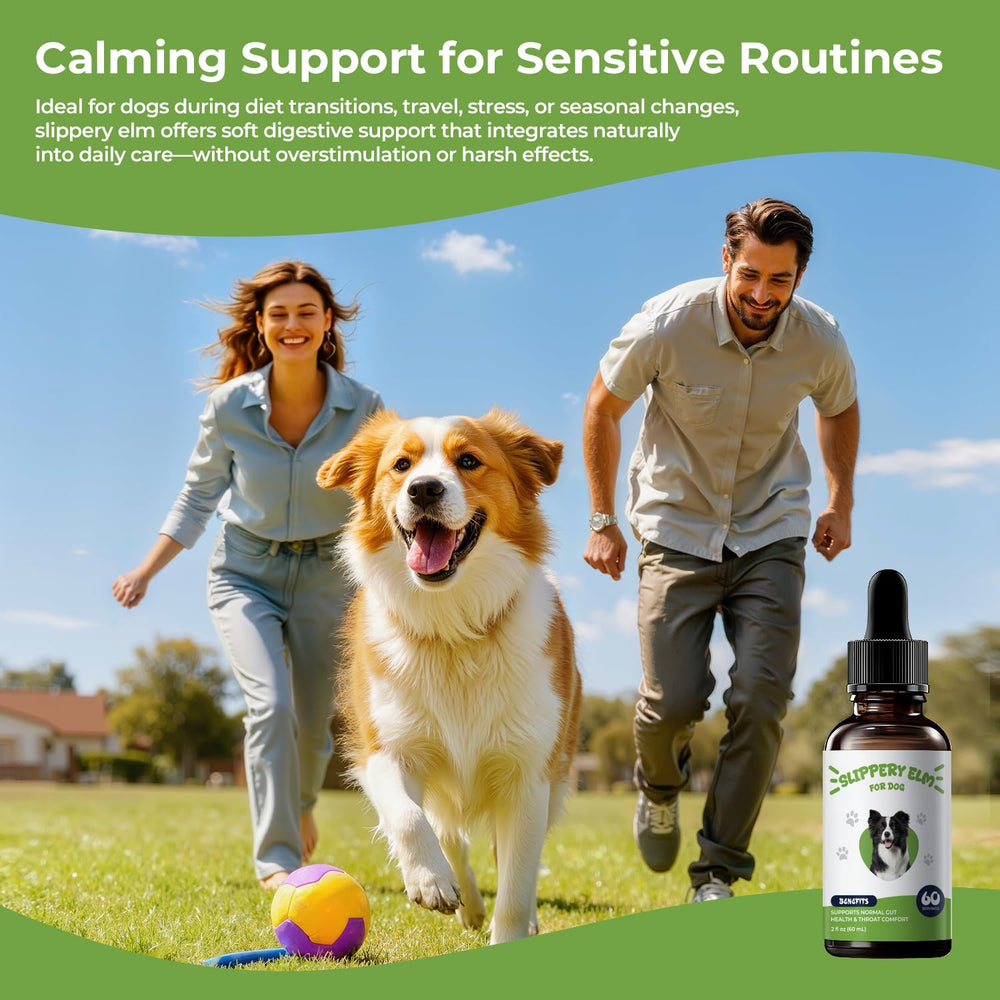 BrightBarki Easy Mix-in Dog Supplement smoothly blends with dog meals