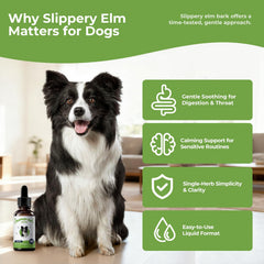 BrightBarki Gut and Throat Comfort Drops aiding sensitive tummies and throats during travel