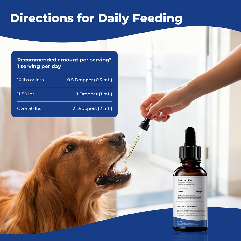 BrightBarki taurine diet mixing, blends into dog meals without changing routine.